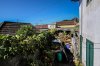 8/IMG_0312 site.jpg